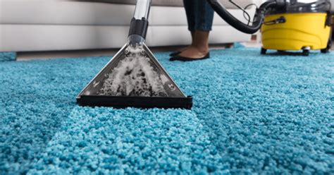 The Role of Magic Carpet Cleaning in Allergy Prevention